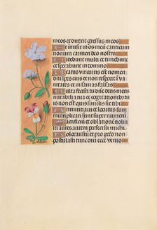 Hours of Queen Isabella the Catholic, Queen of Spain: Fol. 239v, c. 1500. Creator: Master of the First Prayerbook of Maximillian (Flemish, c. 1444-1519); Associates, and