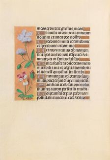 Hours of Queen Isabella the Catholic, Queen of Spain: Fol. 239v, c. 1500. Creator: Master of the First Prayerbook of Maximillian (Flemish, c. 1444-1519); Associates, and