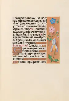 Hours of Queen Isabella the Catholic, Queen of Spain: Fol. 239r, c. 1500. Creator: Master of the First Prayerbook of Maximillian (Flemish, c. 1444-1519); Associates, and