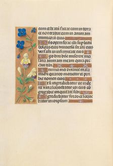 Hours of Queen Isabella the Catholic, Queen of Spain: Fol. 241v, c. 1500. Creator: Master of the First Prayerbook of Maximillian (Flemish, c. 1444-1519); Associates, and