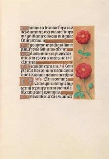 Hours of Queen Isabella the Catholic, Queen of Spain: Fol. 241r, c. 1500. Creator: Master of the First Prayerbook of Maximillian (Flemish, c. 1444-1519); Associates, and