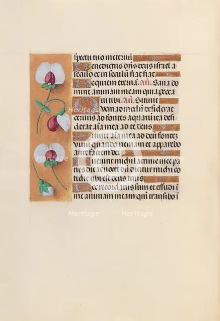 Hours of Queen Isabella the Catholic, Queen of Spain: Fol. 242v, c. 1500. Creator: Master of the First Prayerbook of Maximillian (Flemish, c. 1444-1519); Associates, and.