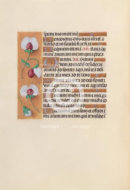 Hours of Queen Isabella the Catholic, Queen of Spain: Fol. 242v, c. 1500. Creator: Master of the First Prayerbook of Maximillian (Flemish, c. 1444-1519); Associates, and.