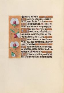 Hours of Queen Isabella the Catholic, Queen of Spain: Fol. 242v, c. 1500. Creator: Master of the First Prayerbook of Maximillian (Flemish, c. 1444-1519); Associates, and