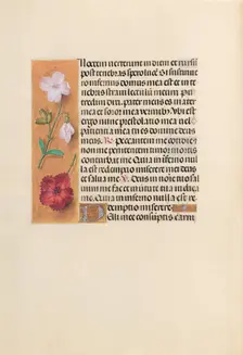 Hours of Queen Isabella the Catholic, Queen of Spain: Fol. 244v, c. 1500. Creator: Master of the First Prayerbook of Maximillian (Flemish, c. 1444-1519); Associates, and