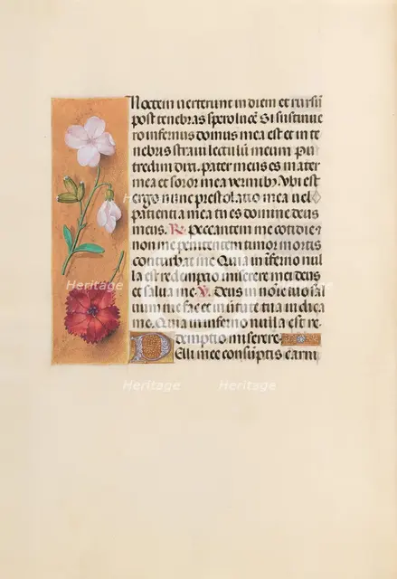 Hours of Queen Isabella the Catholic, Queen of Spain: Fol. 244v, c. 1500. Creator: Master of the First Prayerbook of Maximillian (Flemish, c. 1444-1519); Associates, and.