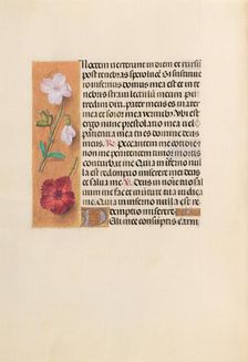 Hours of Queen Isabella the Catholic, Queen of Spain: Fol. 244v, c. 1500. Creator: Master of the First Prayerbook of Maximillian (Flemish, c. 1444-1519); Associates, and