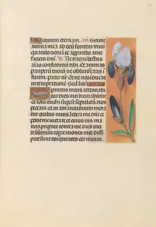Hours of Queen Isabella the Catholic, Queen of Spain: Fol. 244r, c. 1500. Creator: Master of the First Prayerbook of Maximillian (Flemish, c. 1444-1519); Associates, and