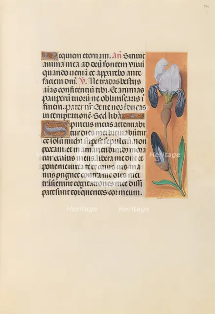 Hours of Queen Isabella the Catholic, Queen of Spain: Fol. 244r, c. 1500. Creator: Master of the First Prayerbook of Maximillian (Flemish, c. 1444-1519); Associates, and.