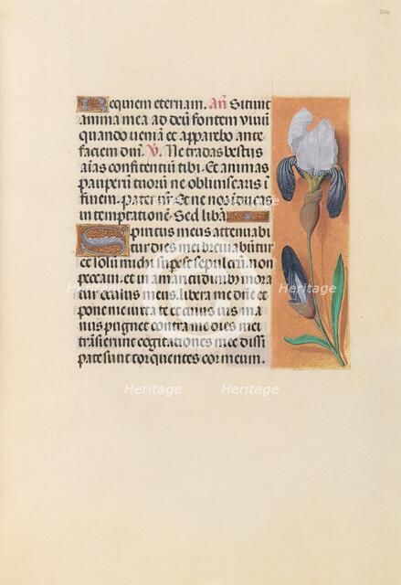 Hours of Queen Isabella the Catholic, Queen of Spain: Fol. 244r, c. 1500. Creator: Master of the First Prayerbook of Maximillian (Flemish, c. 1444-1519); Associates, and.