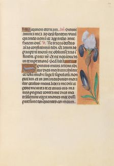 Hours of Queen Isabella the Catholic, Queen of Spain: Fol. 244r, c. 1500. Creator: Master of the First Prayerbook of Maximillian (Flemish, c. 1444-1519); Associates, and