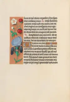 Hours of Queen Isabella the Catholic, Queen of Spain: Fol. 245v, c. 1500. Creator: Master of the First Prayerbook of Maximillian (Flemish, c. 1444-1519); Associates, and