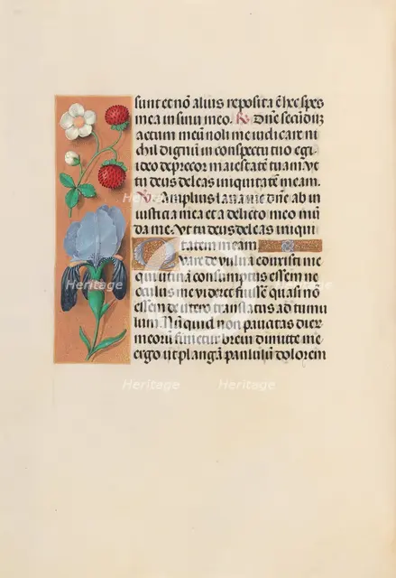 Hours of Queen Isabella the Catholic, Queen of Spain: Fol. 245v, c. 1500. Creator: Master of the First Prayerbook of Maximillian (Flemish, c. 1444-1519); Associates, and.