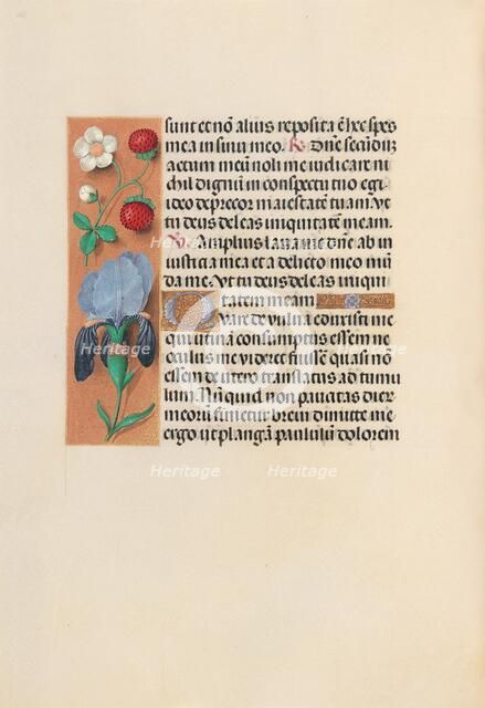 Hours of Queen Isabella the Catholic, Queen of Spain: Fol. 245v, c. 1500. Creator: Master of the First Prayerbook of Maximillian (Flemish, c. 1444-1519); Associates, and.