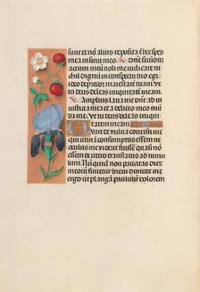 Hours of Queen Isabella the Catholic, Queen of Spain: Fol. 245v, c. 1500. Creator: Master of the First Prayerbook of Maximillian (Flemish, c. 1444-1519); Associates, and