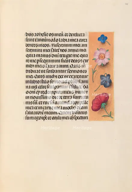 Hours of Queen Isabella the Catholic, Queen of Spain: Fol. 245r, c. 1500. Creator: Master of the First Prayerbook of Maximillian (Flemish, c. 1444-1519); Associates, and.