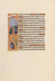 Hours of Queen Isabella the Catholic, Queen of Spain: Fol. 247v, c. 1500. Creator: Master of the First Prayerbook of Maximillian (Flemish, c. 1444-1519); Associates, and
