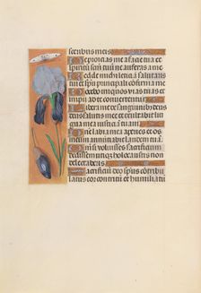 Hours of Queen Isabella the Catholic, Queen of Spain: Fol. 247v, c. 1500. Creator: Master of the First Prayerbook of Maximillian (Flemish, c. 1444-1519); Associates, and