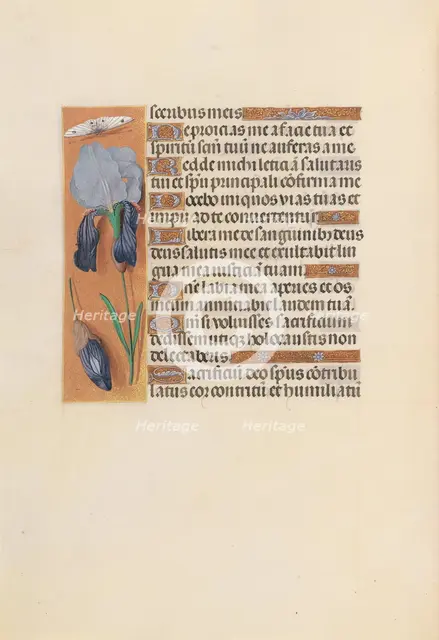 Hours of Queen Isabella the Catholic, Queen of Spain: Fol. 247v, c. 1500. Creator: Master of the First Prayerbook of Maximillian (Flemish, c. 1444-1519); Associates, and.