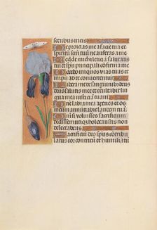 Hours of Queen Isabella the Catholic, Queen of Spain: Fol. 247v, c. 1500. Creator: Master of the First Prayerbook of Maximillian (Flemish, c. 1444-1519); Associates, and