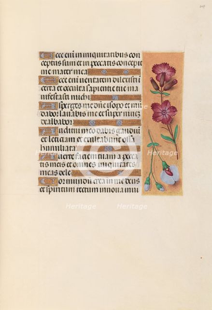 Hours of Queen Isabella the Catholic, Queen of Spain: Fol. 247r, c. 1500. Creator: Master of the First Prayerbook of Maximillian (Flemish, c. 1444-1519); Associates, and.