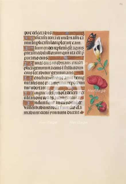 Hours of Queen Isabella the Catholic, Queen of Spain: Fol. 249r, c. 1500. Creator: Master of the First Prayerbook of Maximillian (Flemish, c. 1444-1519); Associates, and.
