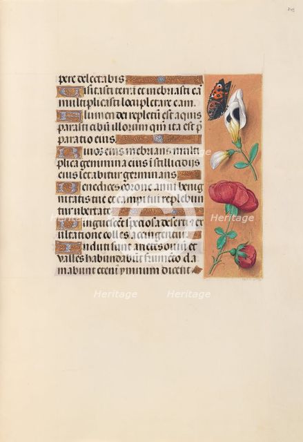 Hours of Queen Isabella the Catholic, Queen of Spain: Fol. 249r, c. 1500. Creator: Master of the First Prayerbook of Maximillian (Flemish, c. 1444-1519); Associates, and.
