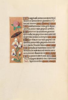 Hours of Queen Isabella the Catholic, Queen of Spain: Fol. 250v, c. 1500. Creator: Master of the First Prayerbook of Maximillian (Flemish, c. 1444-1519); Associates, and
