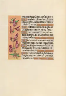Hours of Queen Isabella the Catholic, Queen of Spain: Fol. 253v, c. 1500. Creator: Master of the First Prayerbook of Maximillian (Flemish, c. 1444-1519); Associates, and