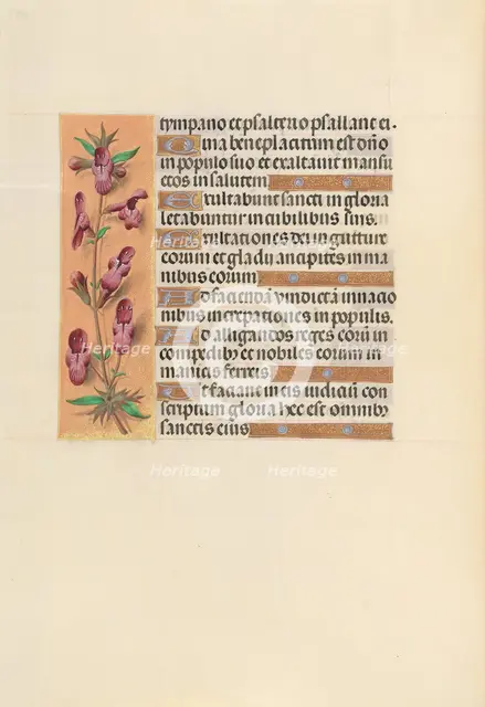 Hours of Queen Isabella the Catholic, Queen of Spain: Fol. 253v, c. 1500. Creator: Master of the First Prayerbook of Maximillian (Flemish, c. 1444-1519); Associates, and.
