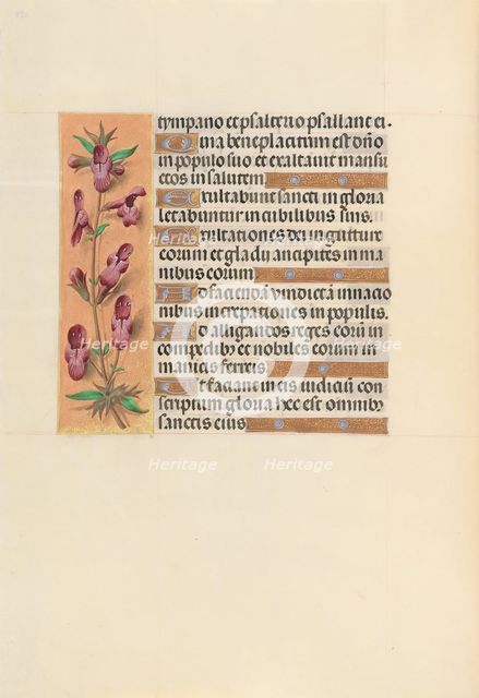 Hours of Queen Isabella the Catholic, Queen of Spain: Fol. 253v, c. 1500. Creator: Master of the First Prayerbook of Maximillian (Flemish, c. 1444-1519); Associates, and.