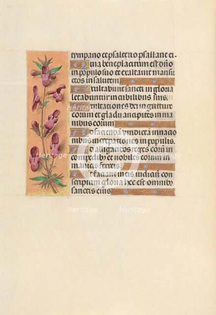 Hours of Queen Isabella the Catholic, Queen of Spain: Fol. 253v, c. 1500. Creator: Master of the First Prayerbook of Maximillian (Flemish, c. 1444-1519); Associates, and.