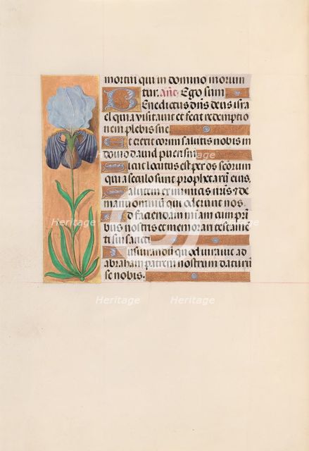 Hours of Queen Isabella the Catholic, Queen of Spain: Fol. 254v, c. 1500. Creator: Master of the First Prayerbook of Maximillian (Flemish, c. 1444-1519); Associates, and.