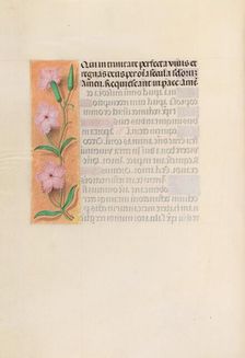 Hours of Queen Isabella the Catholic, Queen of Spain: Fol. 256v, Virgin and Child, c. 1500. Creator: Master of the First Prayerbook of Maximillian (Flemish, c. 1444-1519); Associates, and