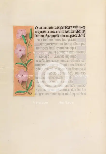 Hours of Queen Isabella the Catholic, Queen of Spain: Fol. 256v, Virgin and Child, c. 1500. Creator: Master of the First Prayerbook of Maximillian (Flemish, c. 1444-1519); Associates, and.