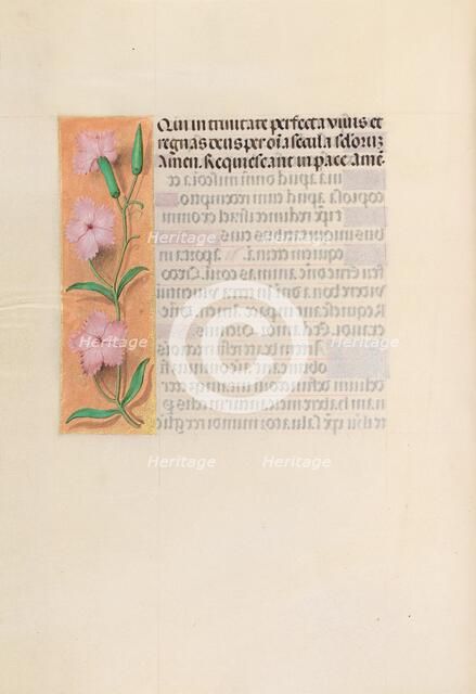 Hours of Queen Isabella the Catholic, Queen of Spain: Fol. 256v, Virgin and Child, c. 1500. Creator: Master of the First Prayerbook of Maximillian (Flemish, c. 1444-1519); Associates, and.