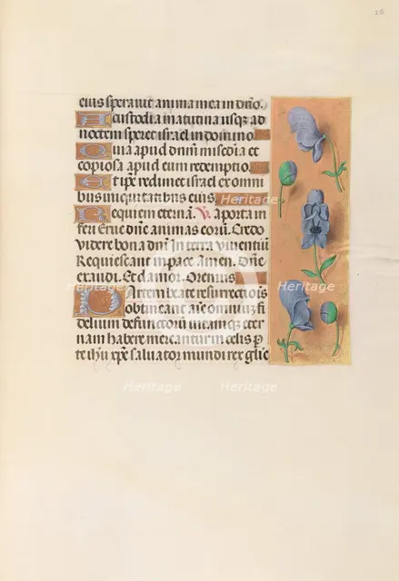 Hours of Queen Isabella the Catholic, Queen of Spain: Fol. 256r, c. 1500. Creator: Master of the First Prayerbook of Maximillian (Flemish, c. 1444-1519); Associates, and.