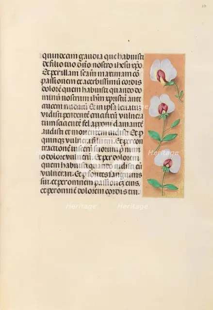 Hours of Queen Isabella the Catholic, Queen of Spain: Fol. 259r, c. 1500. Creator: Master of the First Prayerbook of Maximillian (Flemish, c. 1444-1519); Associates, and.