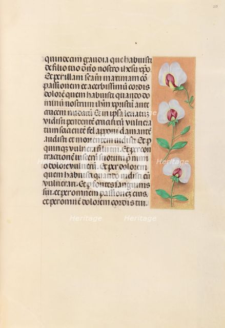 Hours of Queen Isabella the Catholic, Queen of Spain: Fol. 259r, c. 1500. Creator: Master of the First Prayerbook of Maximillian (Flemish, c. 1444-1519); Associates, and.