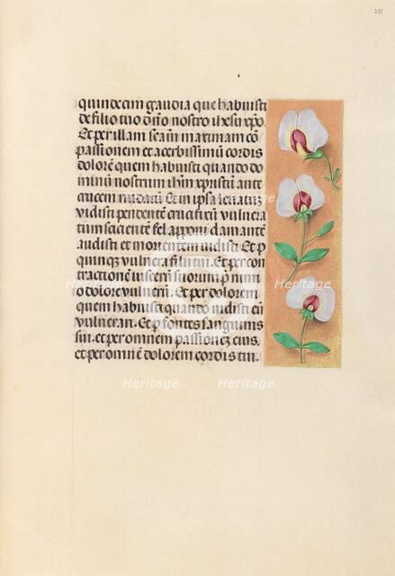 Hours of Queen Isabella the Catholic, Queen of Spain: Fol. 259r, c. 1500. Creator: Master of the First Prayerbook of Maximillian (Flemish, c. 1444-1519); Associates, and.