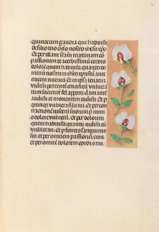 Hours of Queen Isabella the Catholic, Queen of Spain: Fol. 259r, c. 1500. Creator: Master of the First Prayerbook of Maximillian (Flemish, c. 1444-1519); Associates, and