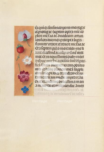 Hours of Queen Isabella the Catholic, Queen of Spain: Fol. 260v, Pieta, c. 1500. Creator: Master of the First Prayerbook of Maximillian (Flemish, c. 1444-1519); Associates, and.