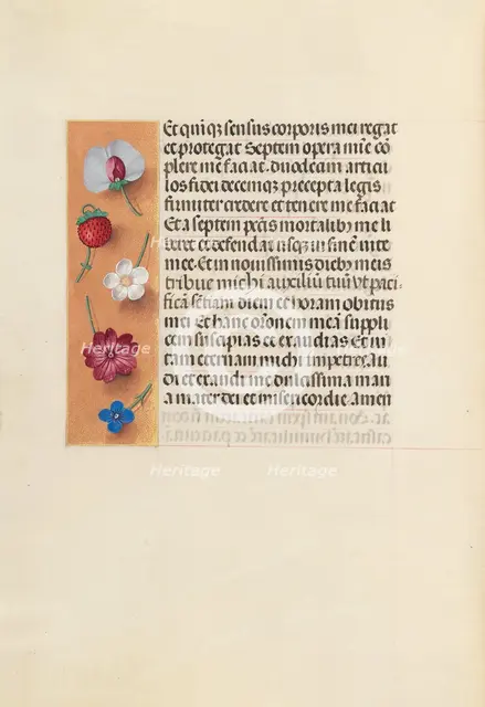 Hours of Queen Isabella the Catholic, Queen of Spain: Fol. 260v, Pieta, c. 1500. Creator: Master of the First Prayerbook of Maximillian (Flemish, c. 1444-1519); Associates, and.
