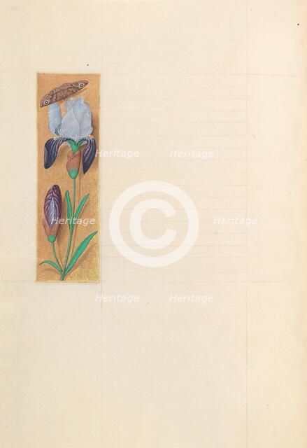 Hours of Queen Isabella the Catholic, Queen of Spain: Fol. 277v, c. 1500. Creator: Master of the First Prayerbook of Maximillian (Flemish, c. 1444-1519); Associates, and.