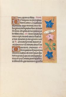 Hours of Queen Isabella the Catholic, Queen of Spain: Fol. 33r, c. 1500. Creator: Master of the First Prayerbook of Maximillian (Flemish, c. 1444-1519); Associates, and
