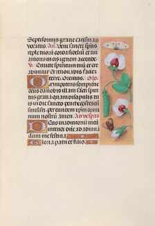 Hours of Queen Isabella the Catholic, Queen of Spain: Fol. 35r, c. 1500. Creator: Master of the First Prayerbook of Maximillian (Flemish, c. 1444-1519); Associates, and