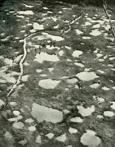 How The Weather Hindered the Advance (1919). Creator: Unknown