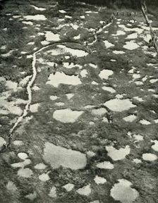 How The Weather Hindered the Advance (1919). Creator: Unknown