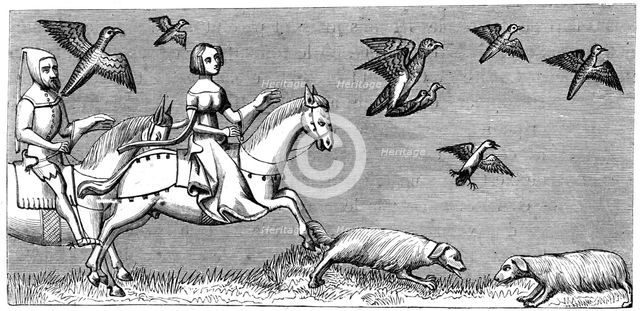 How to make young hawks fly, 14th century (1849). Artist: Unknown