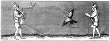 How to train a young falcon, 14th century (1849)